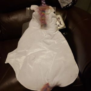Halloween dog costume